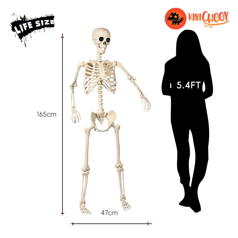 Halloween standing skeleton 165cm